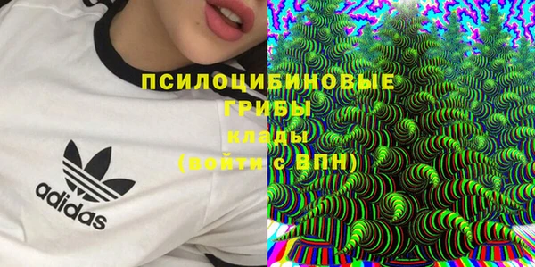 дурь Зеленодольск