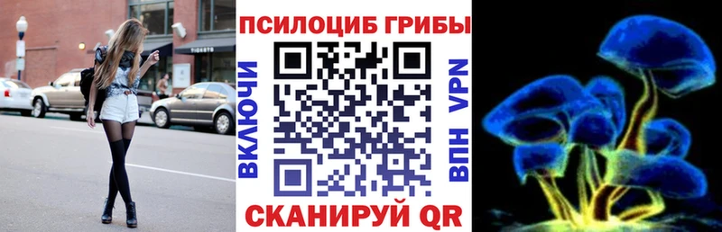 Купить где  Суджа  Псилоцибиновые грибы GOLDEN TEACHER 
